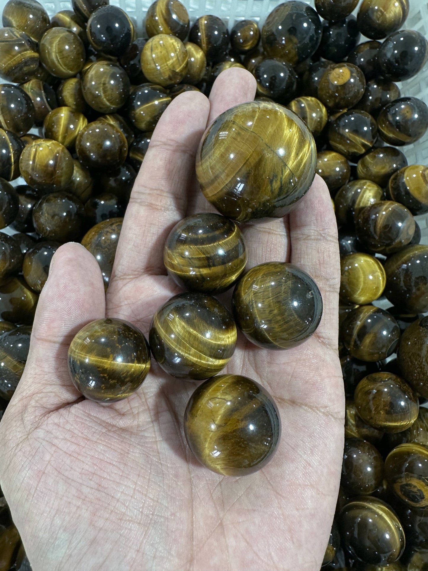Tiger Eye Sphere Wholesale