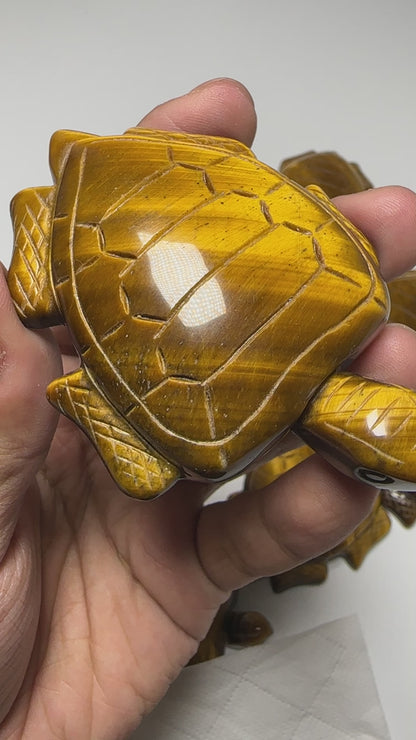Tiger Eye Turtle Stone Carving Wholesale